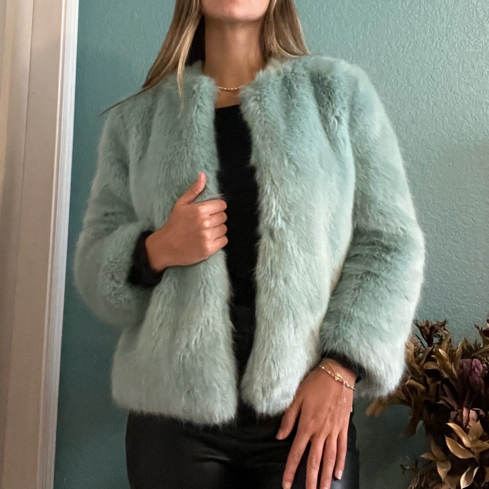 Faux Fur Powder Blue Cropped Zara Coat